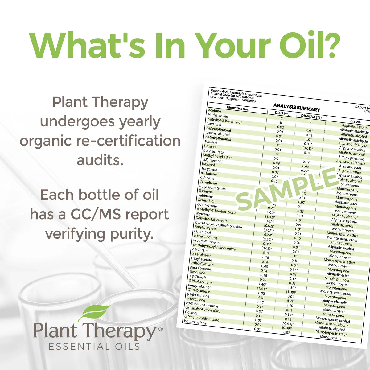 Plant Therapy Organic Tea Tree Oil (Melaleuca) 100% Pure,  Certified Organic, Undiluted, Natural Aromatherapy, Therapeutic Grade 100 mL (3.3 oz)