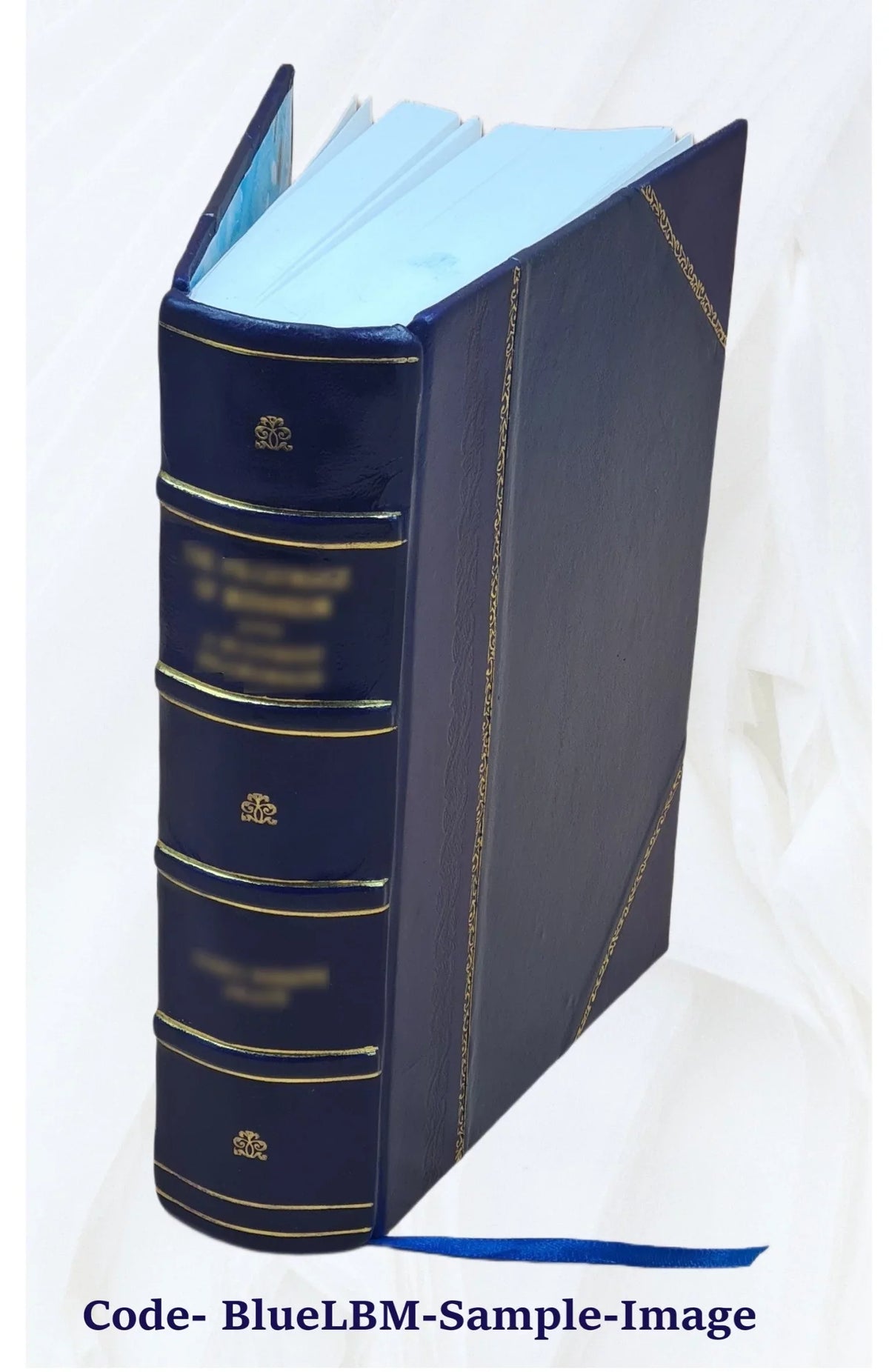 Correspondance secrète du comte de Mercy Argenteau avec l'empereur Joseph  et le prince de Kaunitz Volume 2 1889 [Leather Bound]