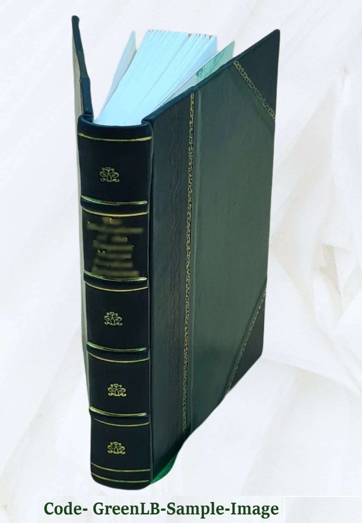 Reports from the Lords Committees Touching the Dignity of a Peer of the Realm &c., &c. with appendixes Volume v.1 1829 [Leather Bound]