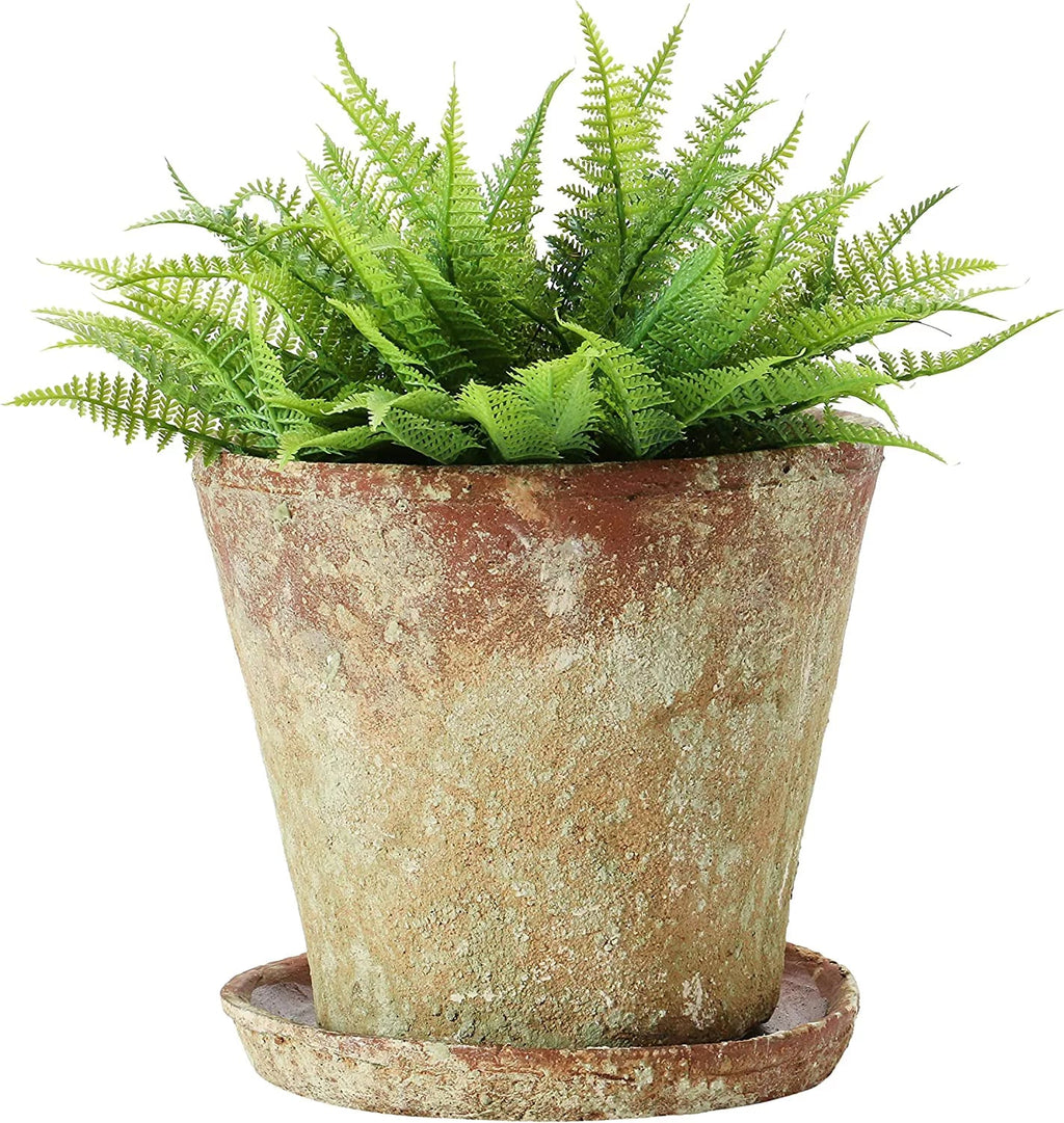 Creative Co-Op Cement Planter with Saucer, Distressed Terra-cotta Finish, Set of 2 (Holds 8" Pot)
