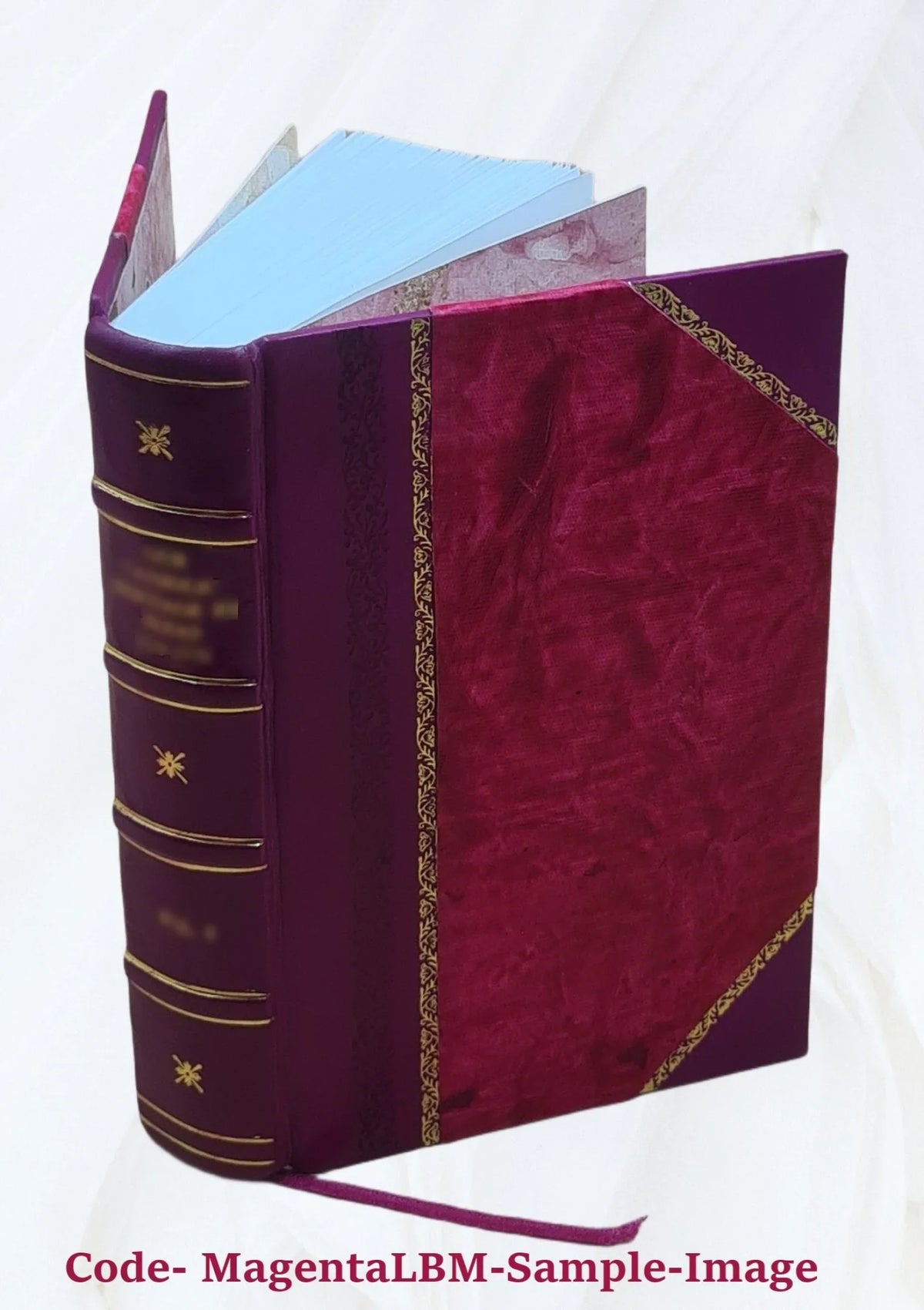 Correspondance secrète du comte de Mercy Argenteau avec l'empereur Joseph  et le prince de Kaunitz Volume 2 1889 [Leather Bound]