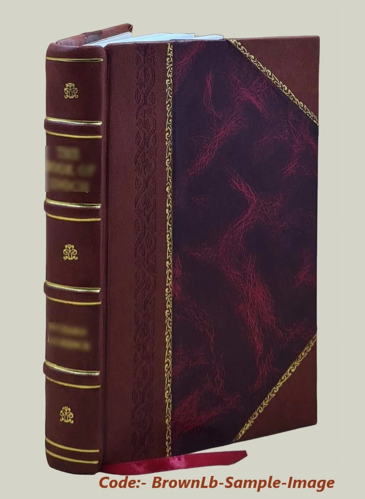 Through Western Madagascar in quest of the golden bean / by Walter . Marcuse. 1914 [Leather Bound]