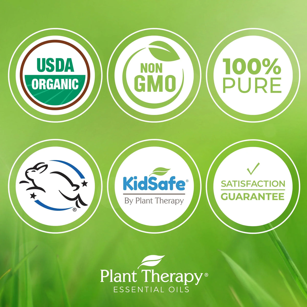 Plant Therapy Organic Tea Tree Oil (Melaleuca) 100% Pure,  Certified Organic, Undiluted, Natural Aromatherapy, Therapeutic Grade 100 mL (3.3 oz)