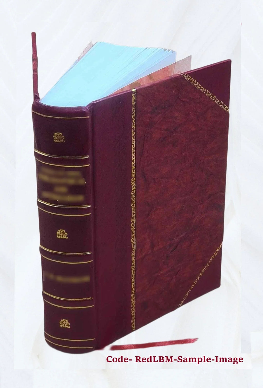 Correspondance secrète du comte de Mercy Argenteau avec l'empereur Joseph  et le prince de Kaunitz Volume 2 1889 [Leather Bound]