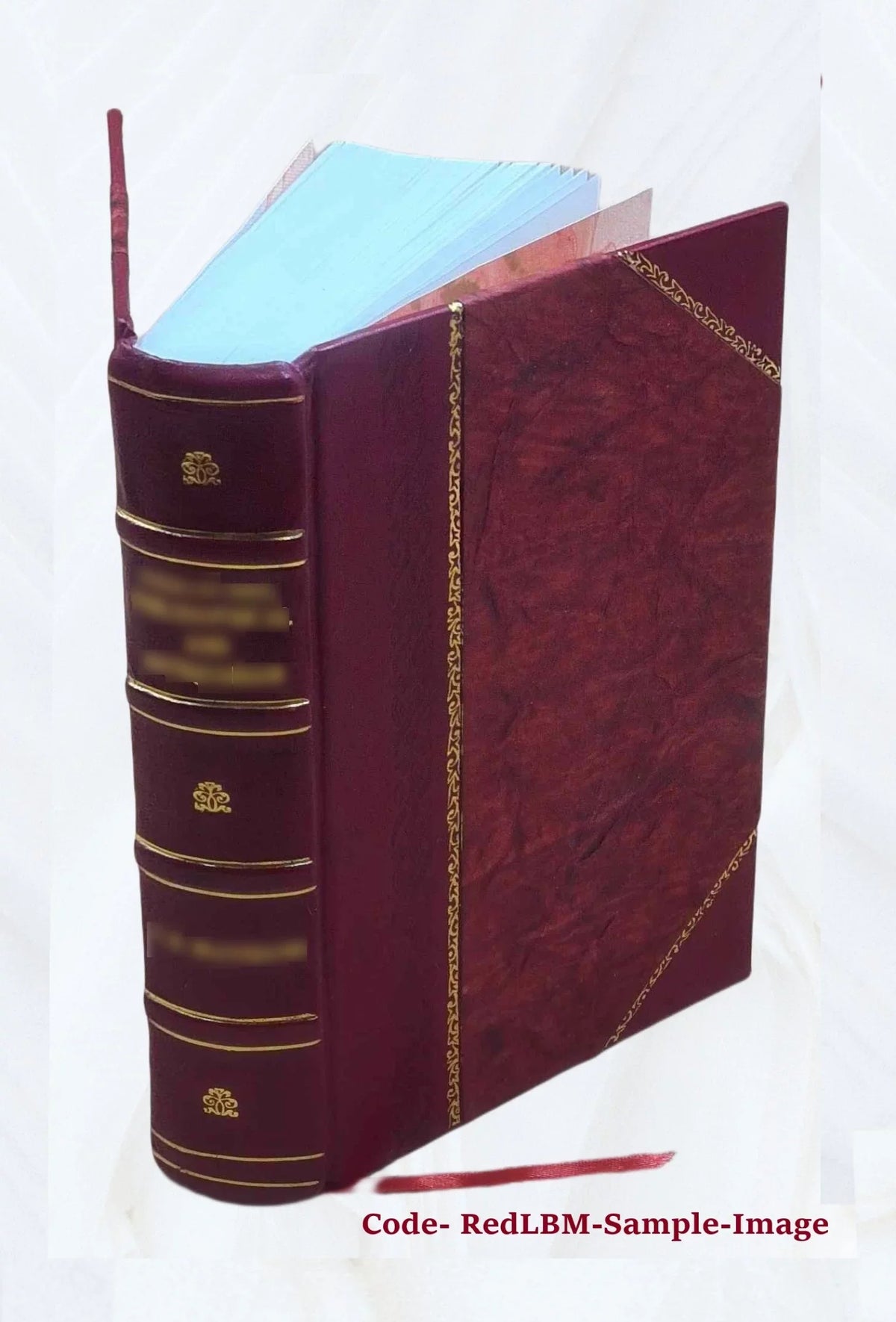 Correspondance secrète du comte de Mercy Argenteau avec l'empereur Joseph  et le prince de Kaunitz Volume 2 1889 [Leather Bound]