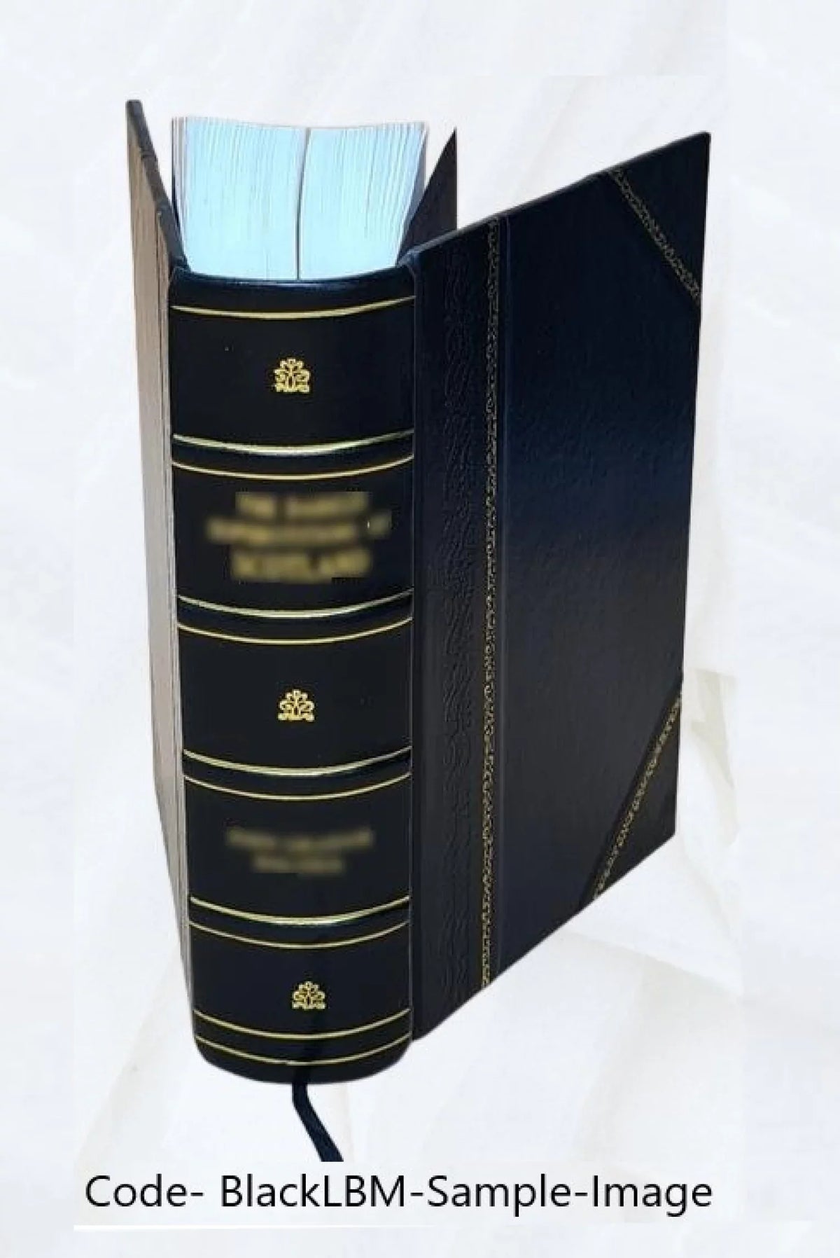 Correspondance secrète du comte de Mercy Argenteau avec l'empereur Joseph  et le prince de Kaunitz Volume 2 1889 [Leather Bound]